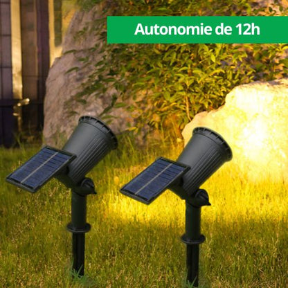 Projecteur Solaires d'Extérieur, Luminosité Réglable, Luminaire Décoratif de jardin