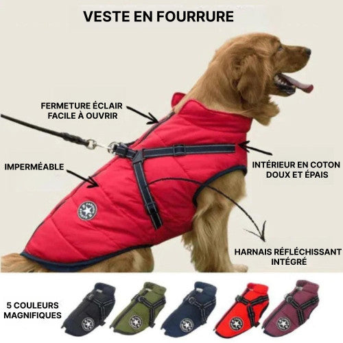 Doudoune Pour Chien