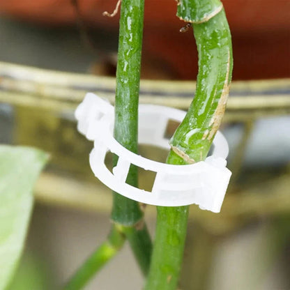 Clips de Support Réutilisables Pratiques pour Plantes