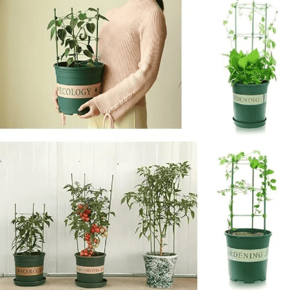 Structure de Soutien Ajustable pour Plantes Grimpantes