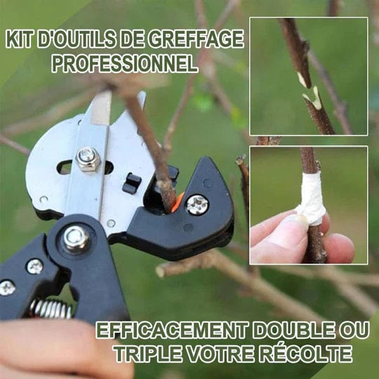 Ciseaux de Greffage pour jardin