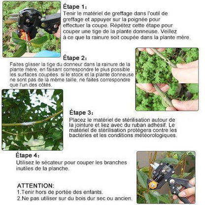 Ciseaux de Greffage pour jardin